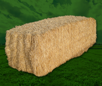 diseño sin título (17)