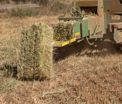 diseño sin título (26)